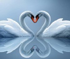 Cross stitch pattern: #485875