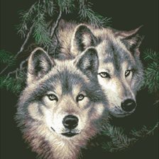 Cross stitch pattern: #485885