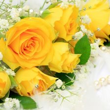 Cross stitch pattern: #485912