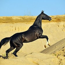 Cross stitch pattern: #485919