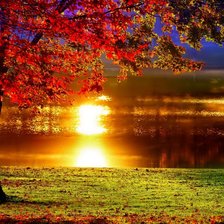 Cross stitch pattern: #485926