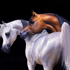 Cross stitch pattern: #485929