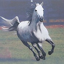 Cross stitch pattern: #485930