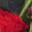 Preview of cross stitch pattern: #486186