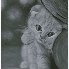 Cross stitch pattern: #486572