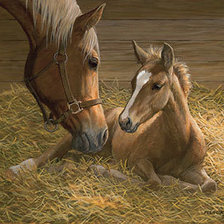 Cross stitch pattern: #486887