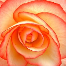 Cross stitch pattern: #487155