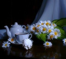 Cross stitch pattern: #487478