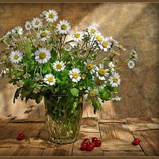 Cross stitch pattern: #487568