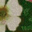 Preview of cross stitch pattern: #487575