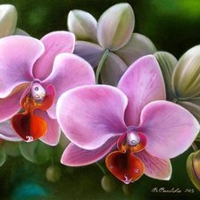 Cross stitch pattern: #487603