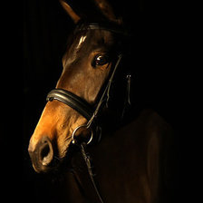 Cross stitch pattern: #487838