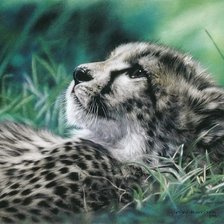 Cross stitch pattern: #488213