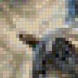 Preview of cross stitch pattern: #488227