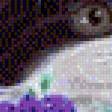Preview of cross stitch pattern: #488611