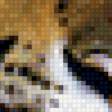 Preview of cross stitch pattern: #488995
