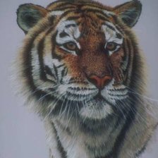 Cross stitch pattern: #489447