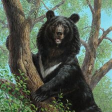 Cross stitch pattern: #489448