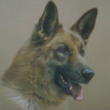 Cross stitch pattern: #489449