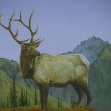 Cross stitch pattern: #489458