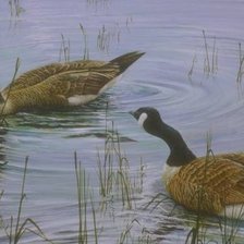 Cross stitch pattern: #489460