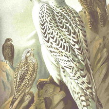 Cross stitch pattern: #489461
