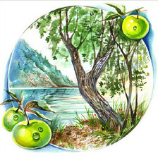 Cross stitch pattern: #489594