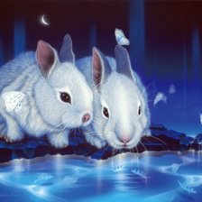 Cross stitch pattern: #489728