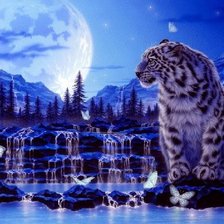 Cross stitch pattern: #489754