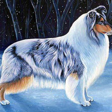 Cross stitch pattern: #491206