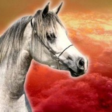 Cross stitch pattern: #491263