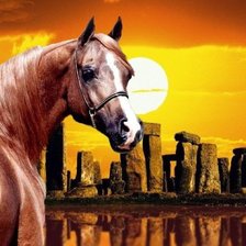 Cross stitch pattern: #491265