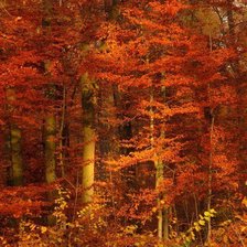 Cross stitch pattern: #491613