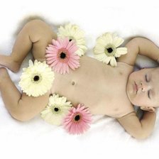 Cross stitch pattern: #491921