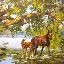 Cross stitch pattern: #491975