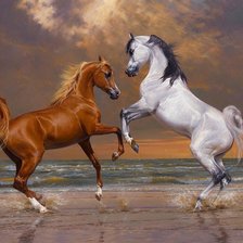 Cross stitch pattern: #491995