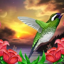 Cross stitch pattern: #492303