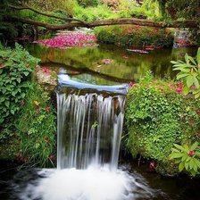 Cross stitch pattern: #492320