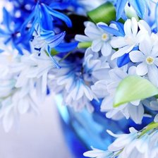 Cross stitch pattern: #492644