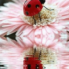 Cross stitch pattern: #492658