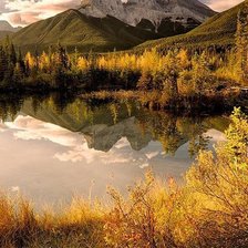 Cross stitch pattern: #492684