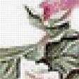 Preview of cross stitch pattern: #493006