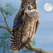 Cross stitch pattern: #493097