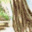 Preview of cross stitch pattern: #494326