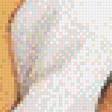 Preview of cross stitch pattern: #494349