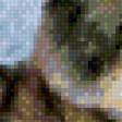 Preview of cross stitch pattern: #494440