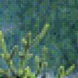 Preview of cross stitch pattern: #494443