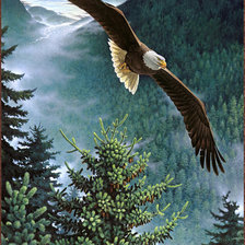 Cross stitch pattern: #494443