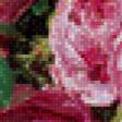 Preview of cross stitch pattern: #494636