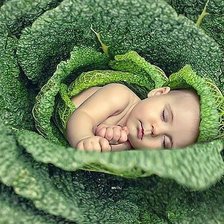 Cross stitch pattern: #495232